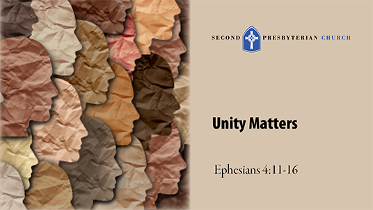 Unity Matters